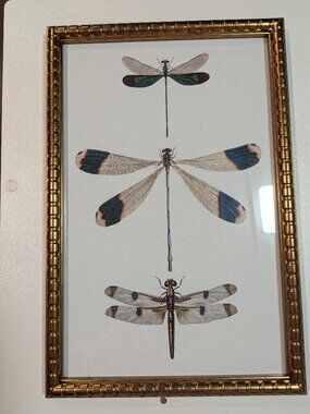 Sapna Shah Gold Framed Dragonfly Illustration Wall Art Print 12"x18"